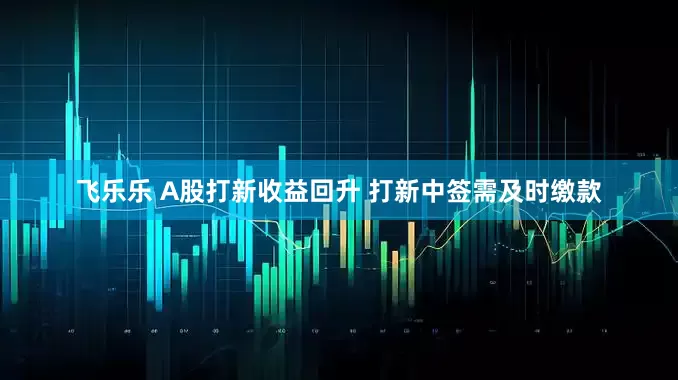 飞乐乐 A股打新收益回升 打新中签需及时缴款