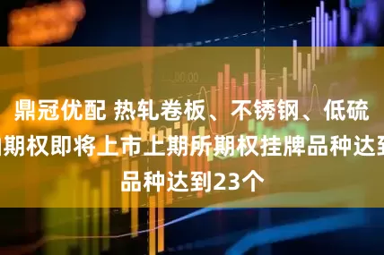 鼎冠优配 热轧卷板、不锈钢、低硫燃料油期权即将上市上期所期权挂牌品种达到23个