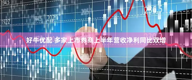 好牛优配 多家上市券商上半年营收净利同比双增